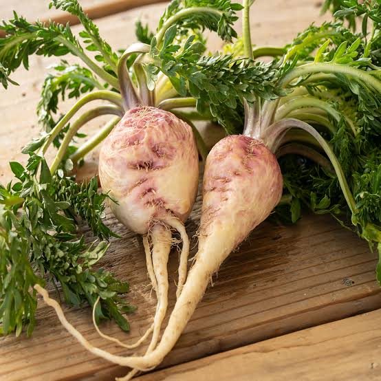 Maca root used in the MenPlus botanical blend
